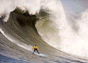 塔图姆在篮网比赛中出色发挥，晋级下一阶段引发热议！赛场气氛高涨